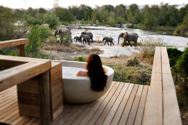 Londolozi Game Reserve