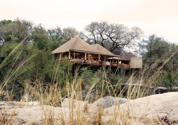 Londolozi Founders Camp