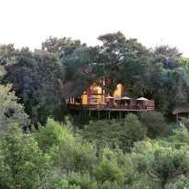 Londolozi Varty Camp