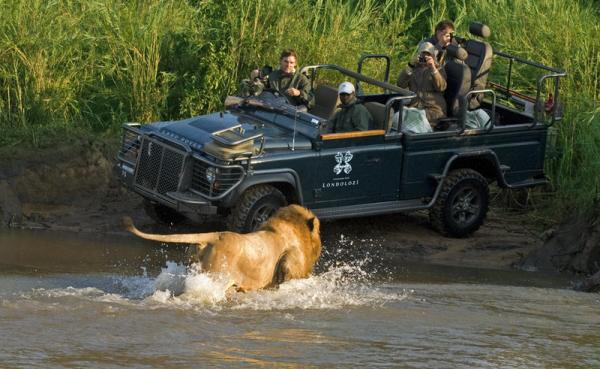 Londolozi Varty Camp