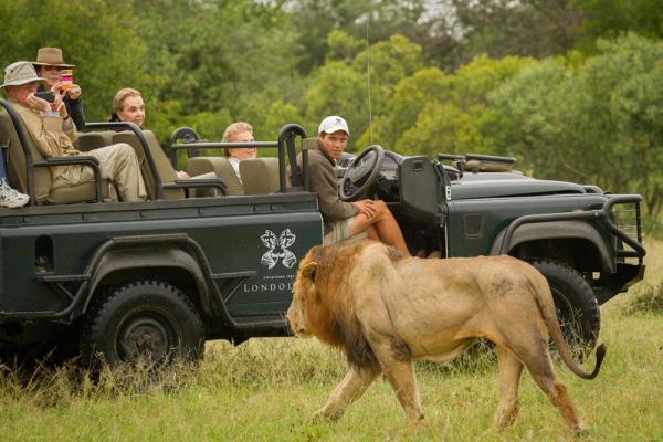 Londolozi Varty Camp