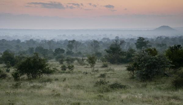 Londolozi Varty Camp