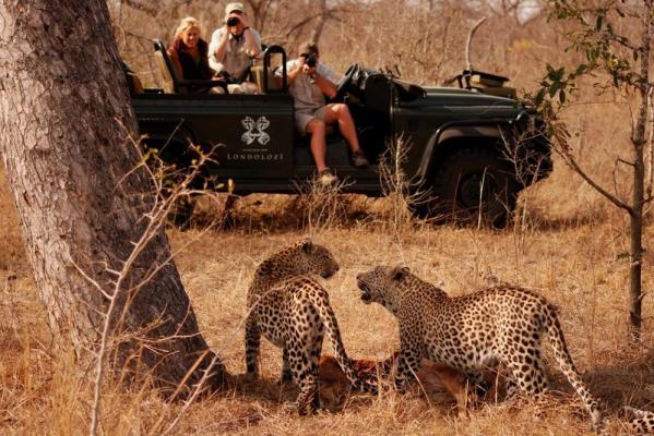 Londolozi Tree Camp