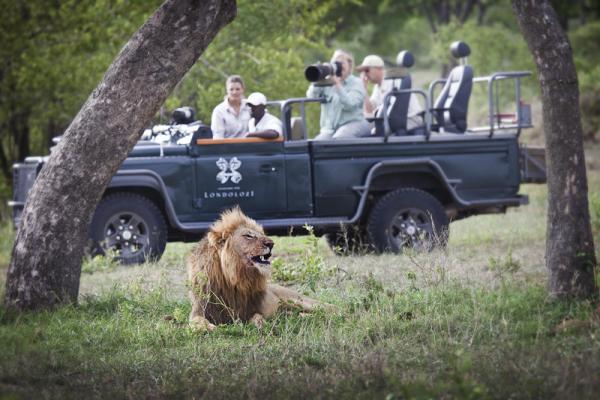 Londolozi Pioneer Camp