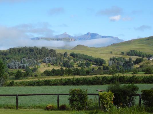 view from Pennygum