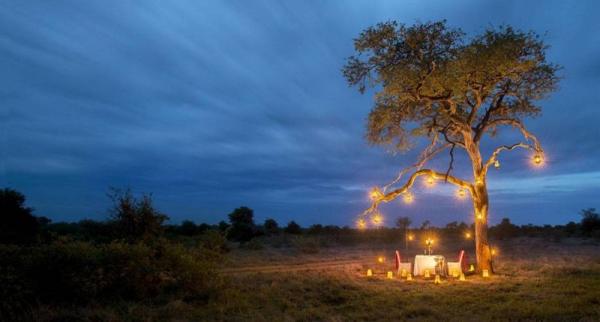 Tanda Tula Safari Camps