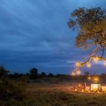 Tanda Tula Safari Camps