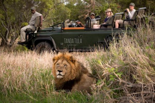 Tanda Tula Safari Camps
