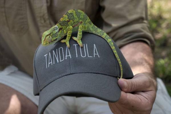 Tanda Tula Safari Camps