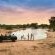 Tanda Tula Safari Camps