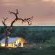 Tanda Tula Safari Camps