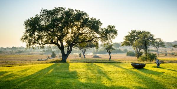 Singita - Castleton Camp