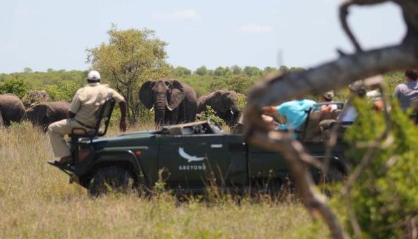 Ngala Safari Lodge