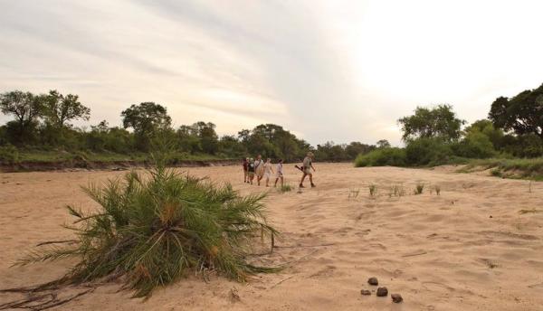 Ngala Tented Camp