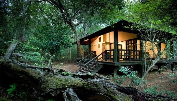 Phinda Forest Lodge