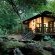 Phinda Forest Lodge