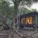 Phinda Forest Lodge