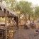 Savute Under Canvas Savute Under Canvas