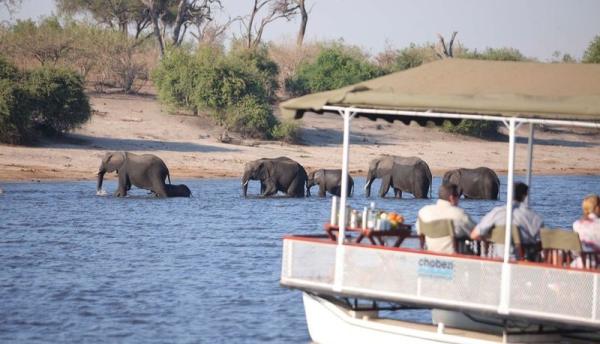 Chobe Under Canvas