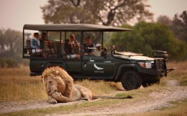 Chobe Under Canvas