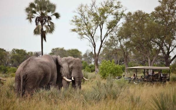 Nxabega Okavango Tented Camp