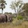 Nxabega Okavango Tented Camp