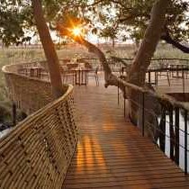 Sandibe Okavango Safari Lodge