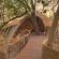 Sandibe Okavango Safari Lodge