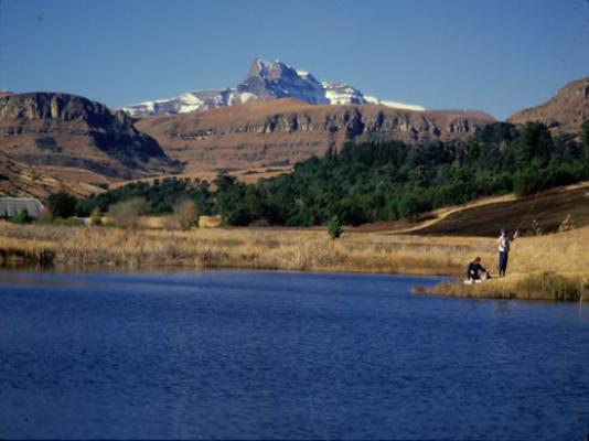 Kamberg - Drakensberg