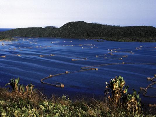 Lake Nhlange Camp - Kosi Bay