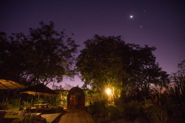 Zen Garden at night