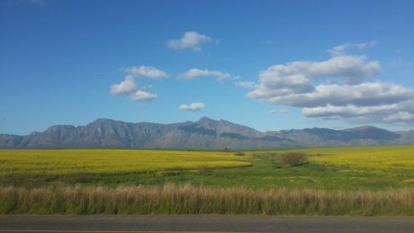 Farm view