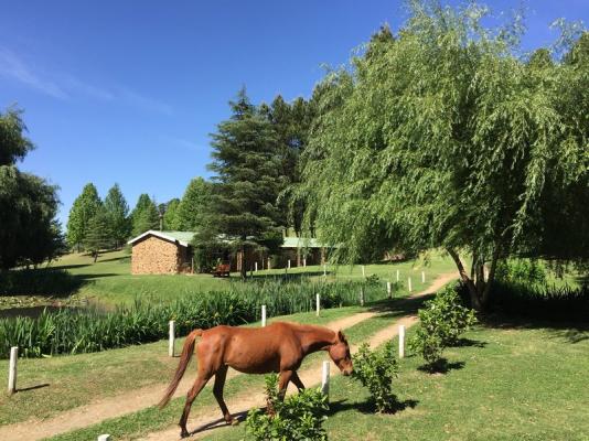 Meadow Lane Country Cottages