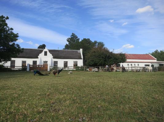 De Bos Guest Farm