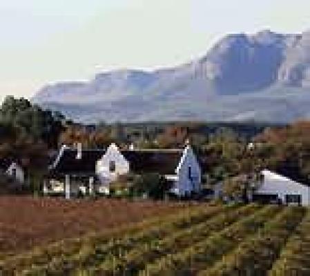 Stellenbosch Wine Route