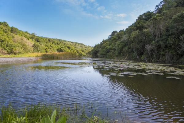 Ntaka Dam - Bass Fishing