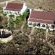 Karoo View Cottages Aerial View