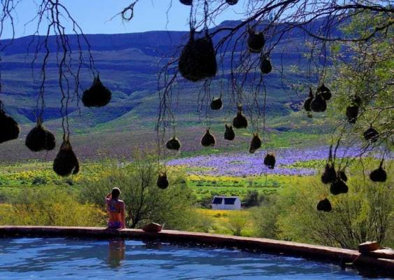 spring fed swimming dam with Enjo Chalet in the background