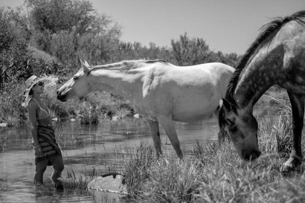 our tame horses in the riverbed