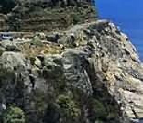 Table Mountain Hikes