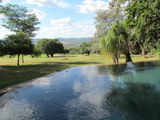 Poolside View