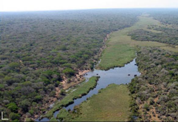 Tembe Elephant Lodge