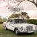The Old Lady - airport shuttles, weddings and matric farewells