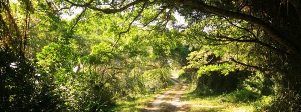 Sodwana Bay Nature Reserve