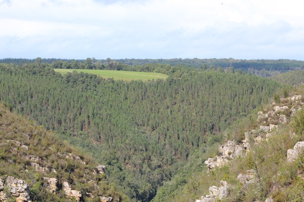 Parks & Nature Reserves of the Garden Route