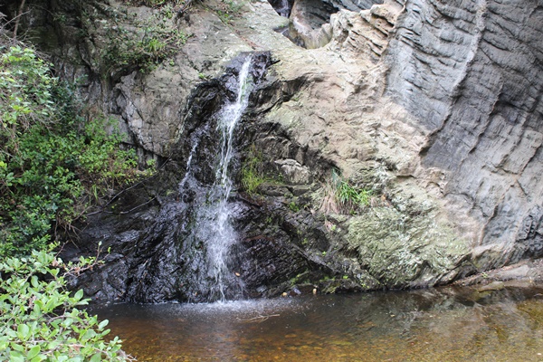 Parks & Nature Reserves of the Garden Route