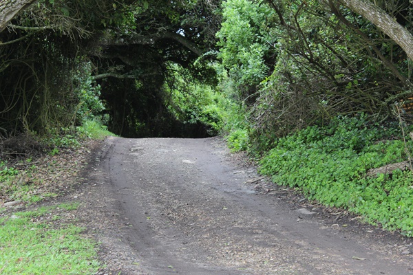 Parks & Nature Reserves of the Garden Route