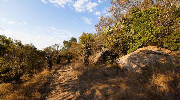 Our mountain walk