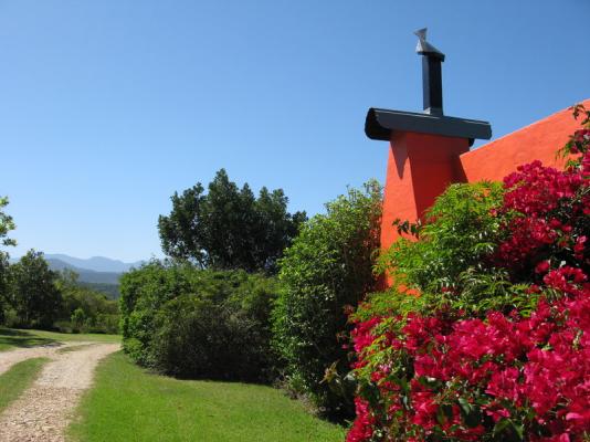 The approach to Butterfly Garden Cottage