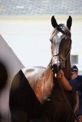 Thoroughbred Breeders Association Museum